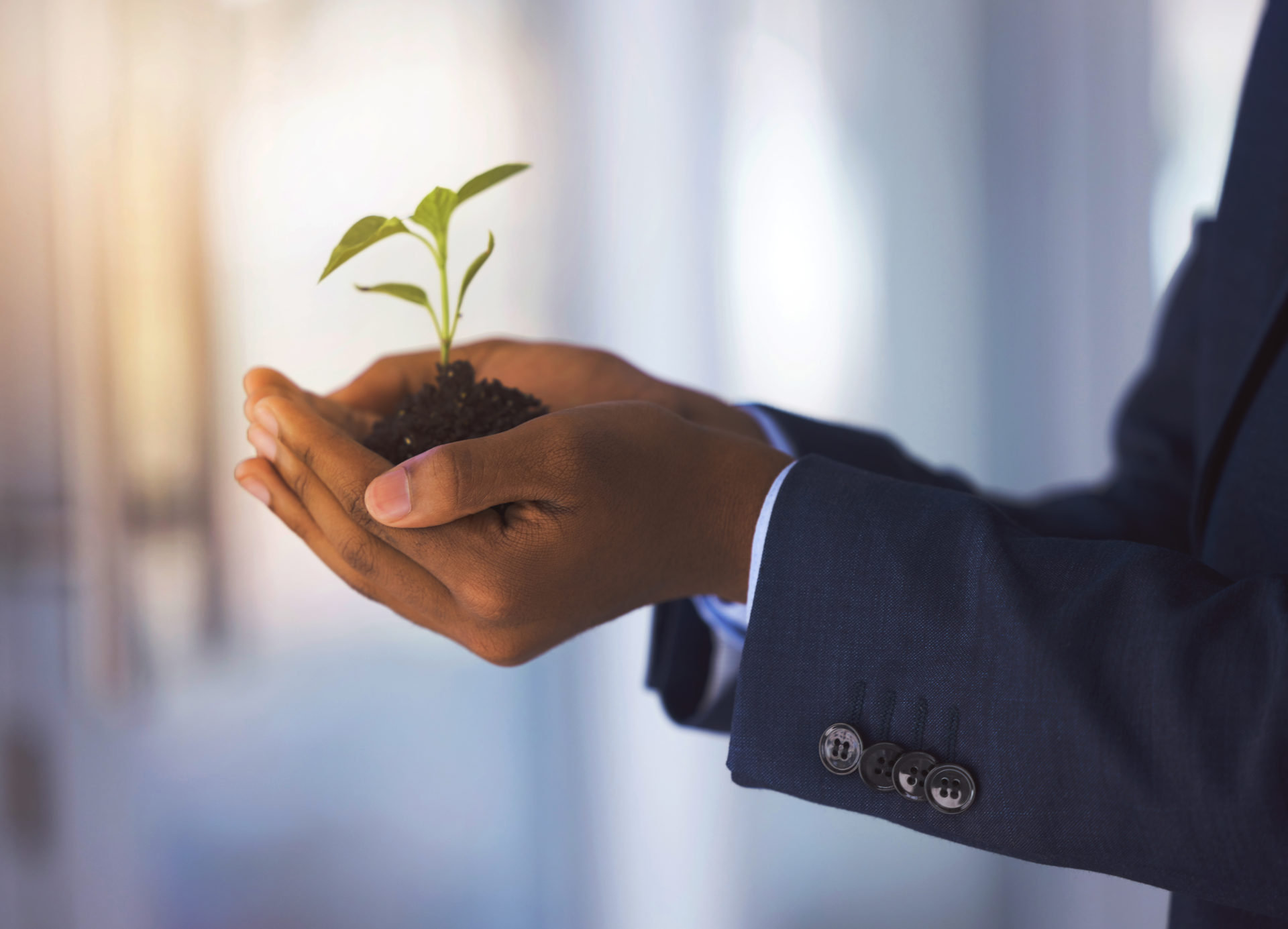 A business person holding soil with a plant growing. Symbolic to business growth.