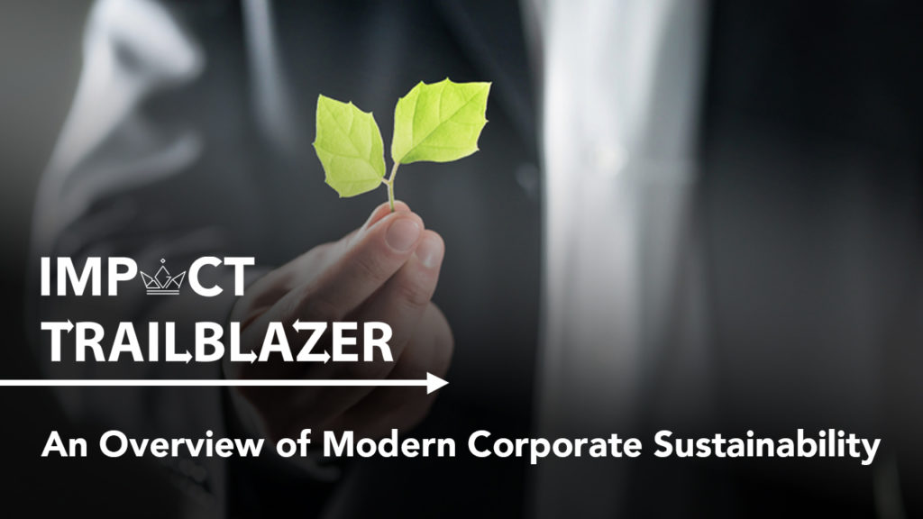 An Impact Trailblazer research banner with a business professional holding a small leaf. This is from the research paper, A overview of Modern Corporate Sustainability'.