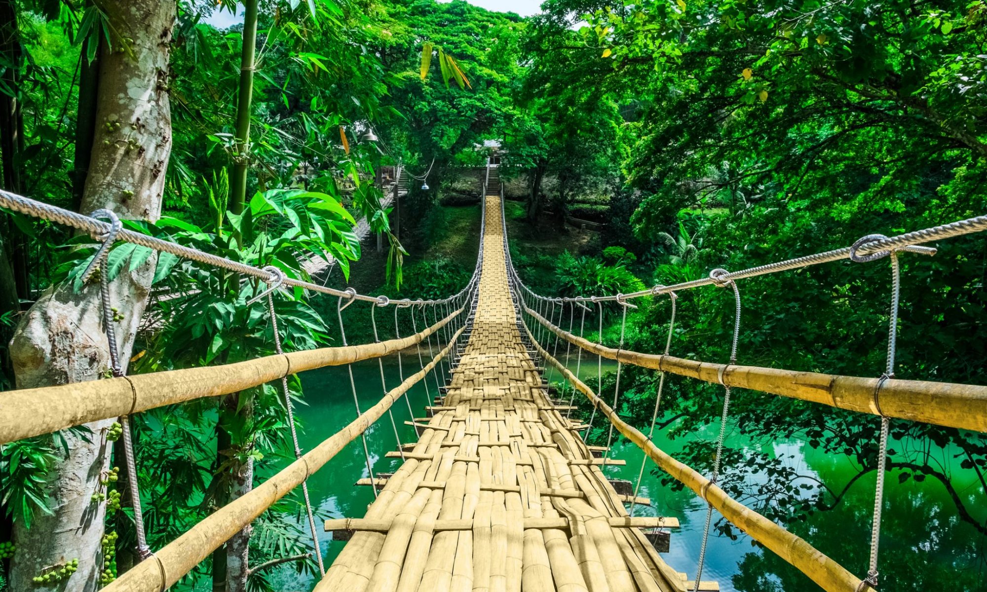 Bamboo bridge over a river in a hot tropical jungle. Business Impact article image for management education's approach to sustainability is broken- here's how to fix it.