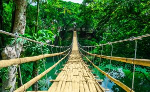 Bamboo bridge over a river in a hot tropical jungle. Business Impact article image for management education's approach to sustainability is broken- here's how to fix it.