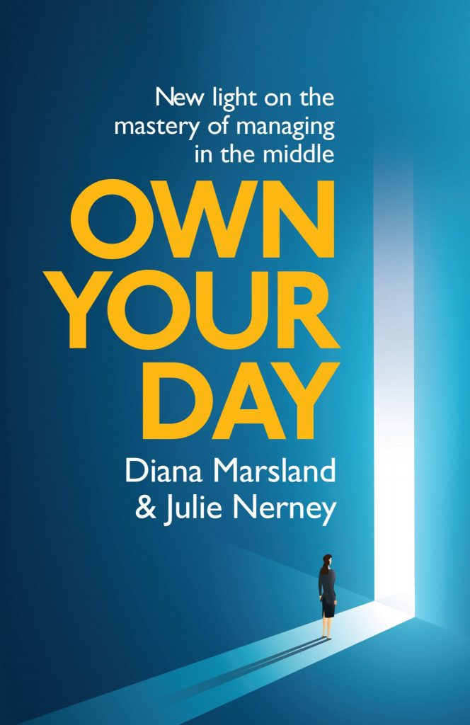 Front cover of the book Own Your Day. This is a blue and yellow book, with a cartoon person walking through a gap. The book is called Own Your Day by authors Diana Marsland and Julie Nerney.