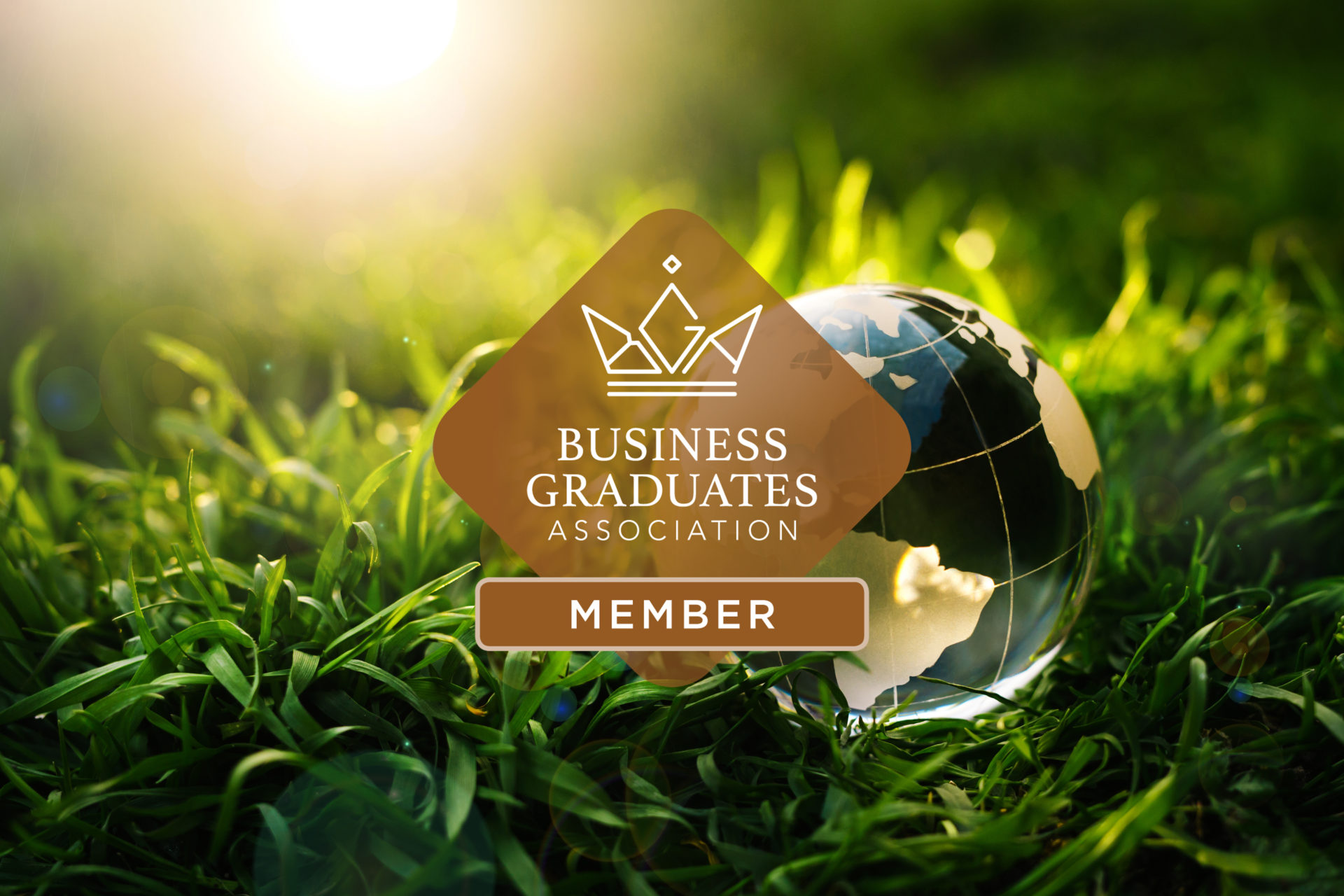 Business School Membership badge banner