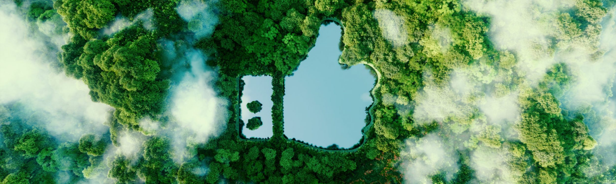 Thumbs up icon - like icon in the form of a clear pond in the middle of a lush virgin forest. 3d rendering.