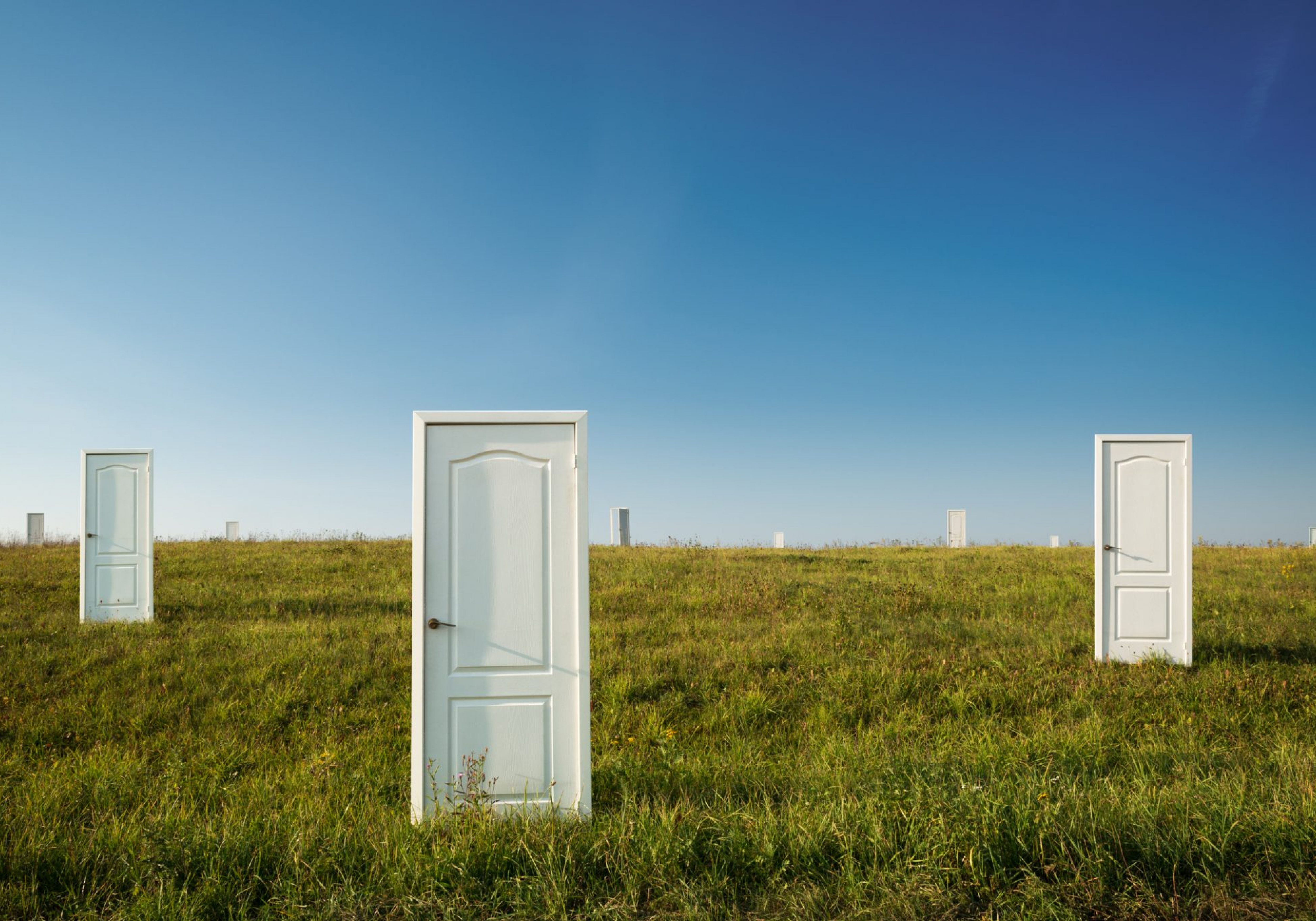 field of doors sustainability and change